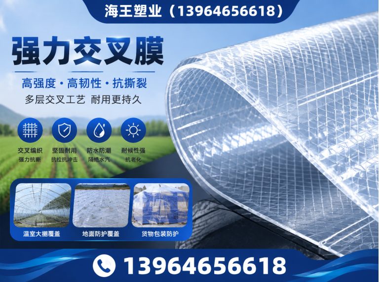 昌乐县离型膜展示图